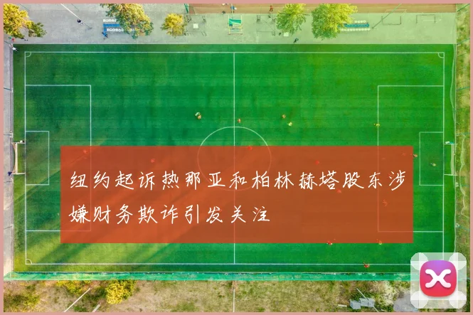 纽约起诉热那亚和柏林赫塔股东涉嫌财务欺诈引发关注